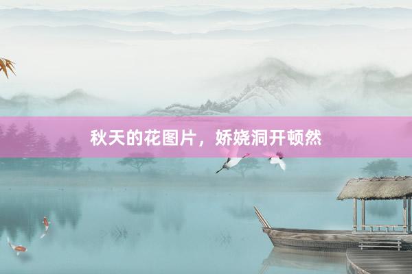 秋天的花图片，娇娆洞开顿然