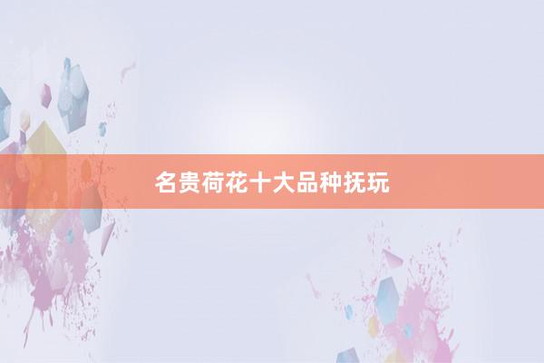 名贵荷花十大品种抚玩