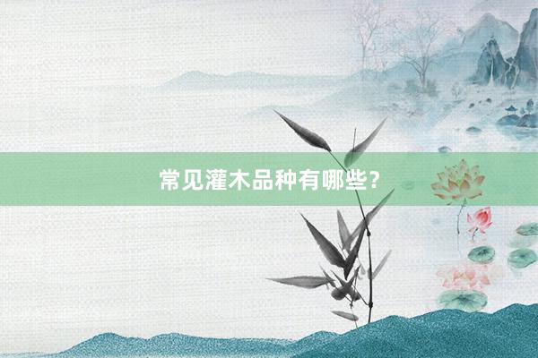 常见灌木品种有哪些？