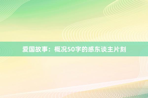 爱国故事：概况50字的感东谈主片刻